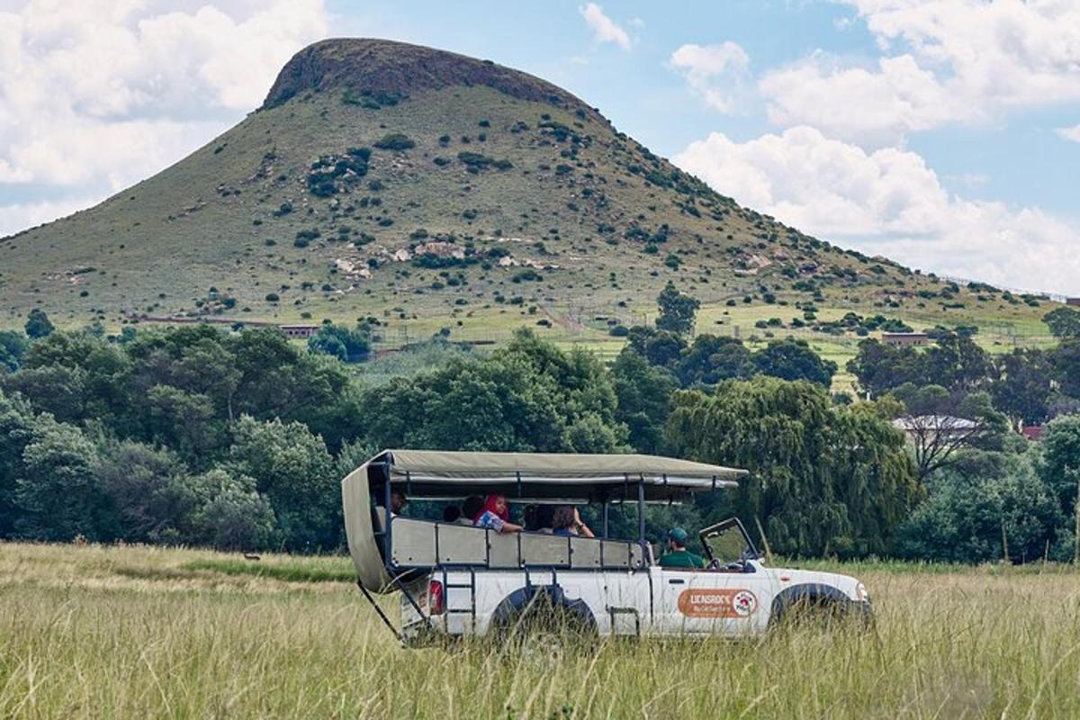 a white jeep in a field in front of a hill