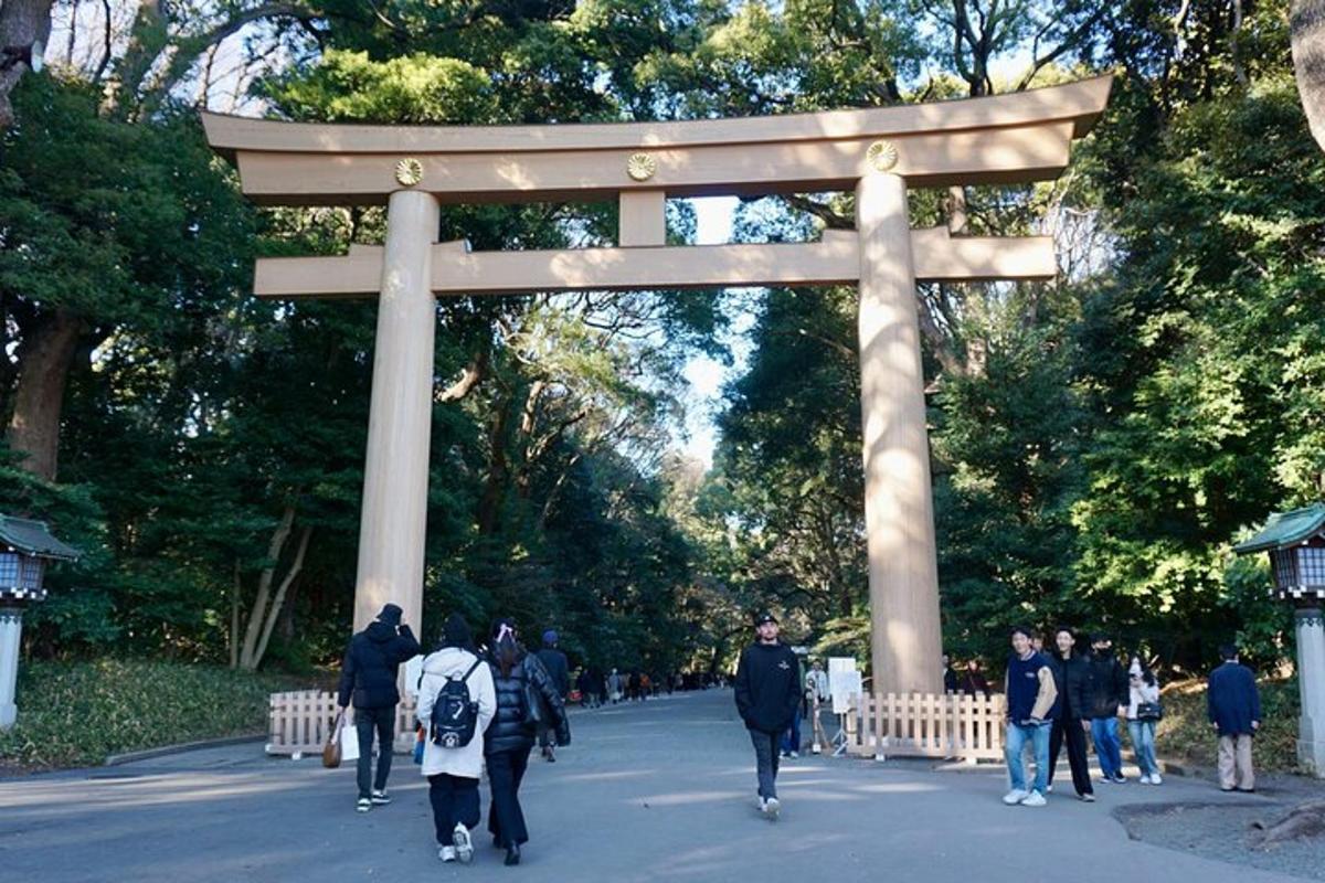 Skupina lidí kráčejících před bránou torii