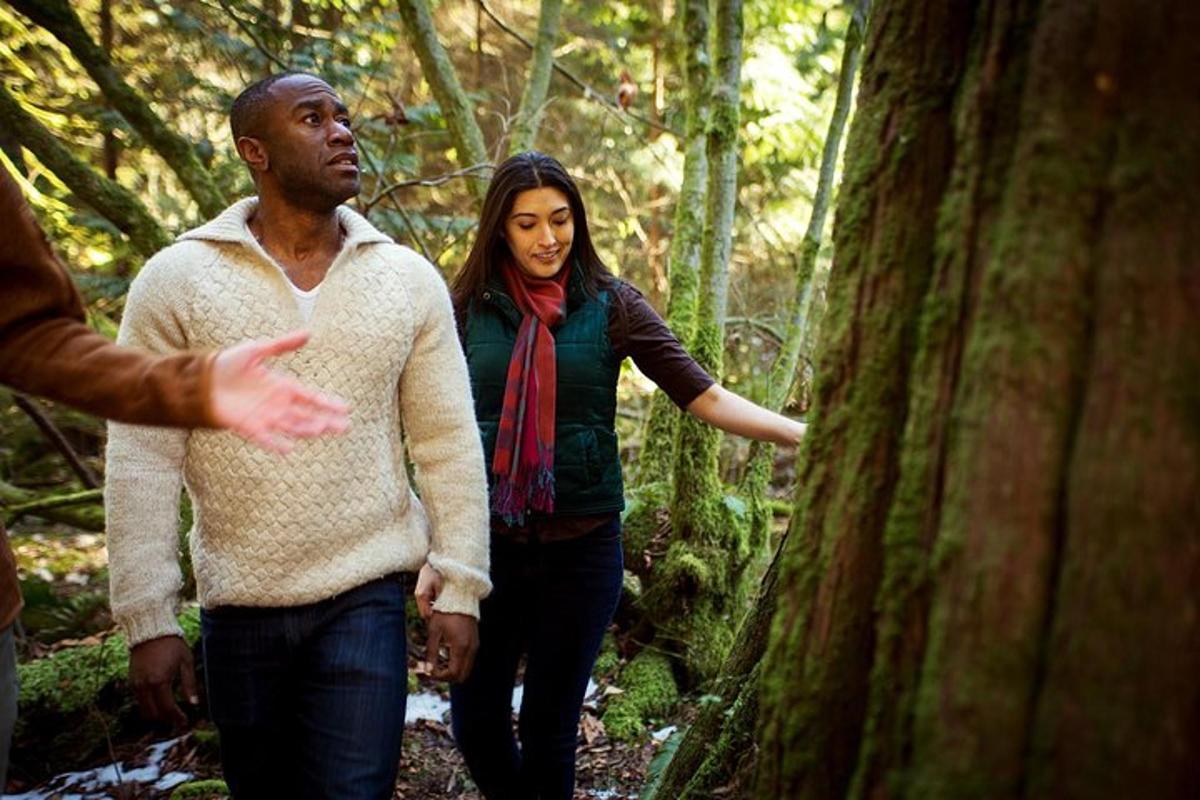 un uomo e una donna che camminano in una foresta