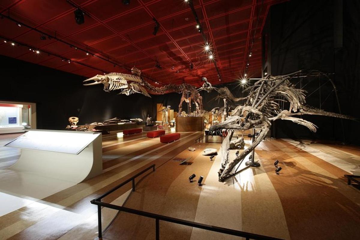 a museum with a skeleton of a dinosaur on display