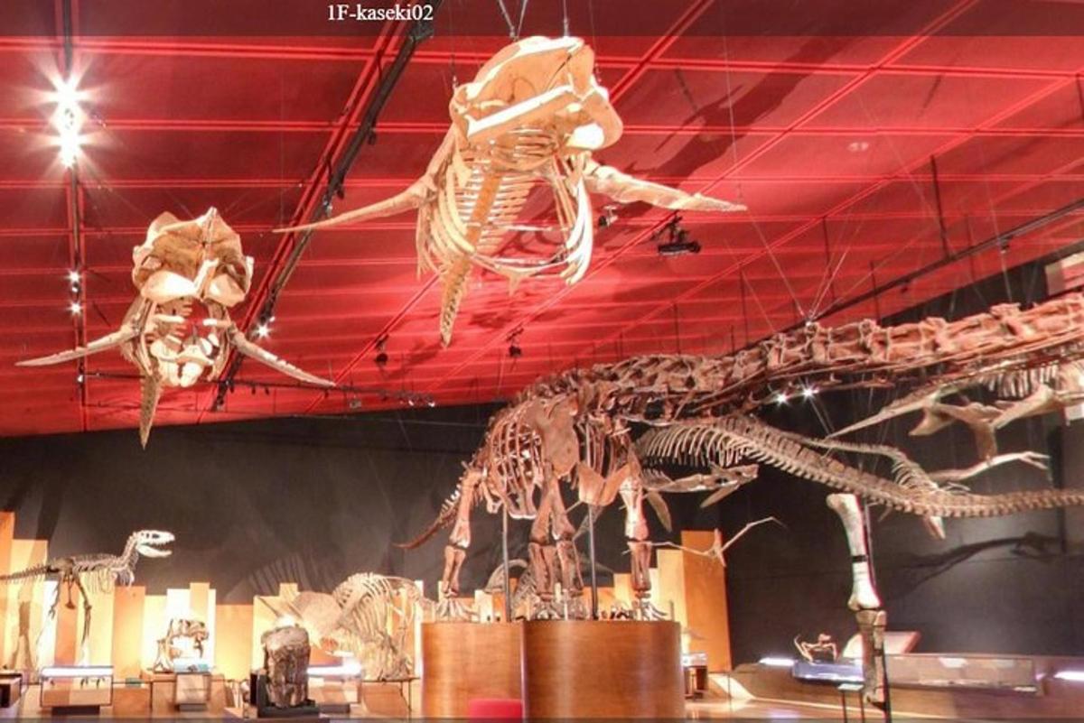 two skeletons of dinosaurs on display in a museum