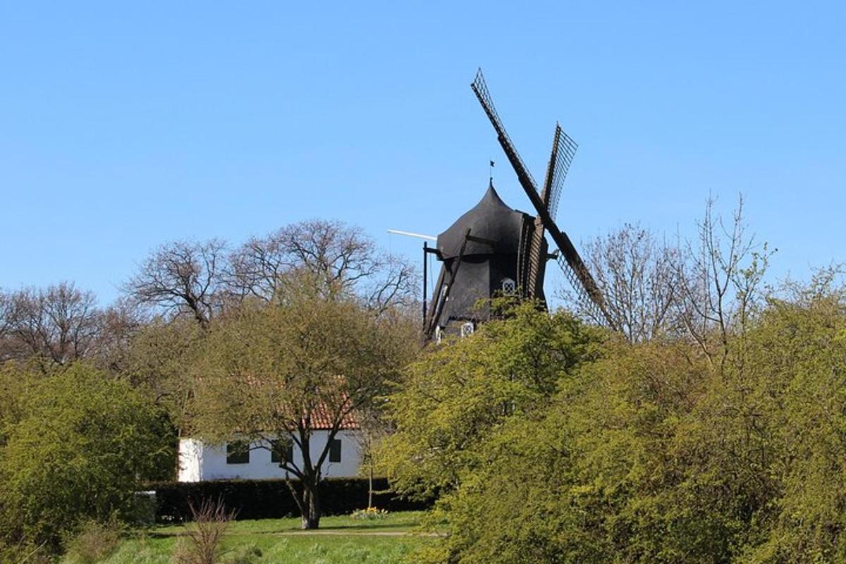 a house with a windmill in the background