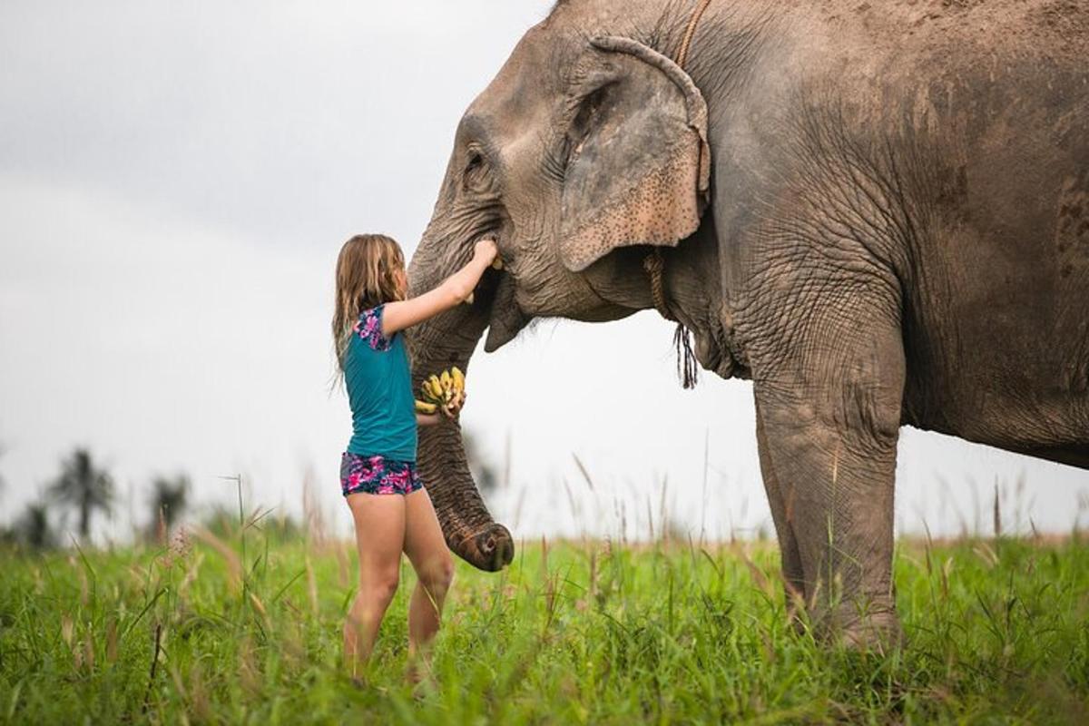 a young girl petting the trunk of an elephant