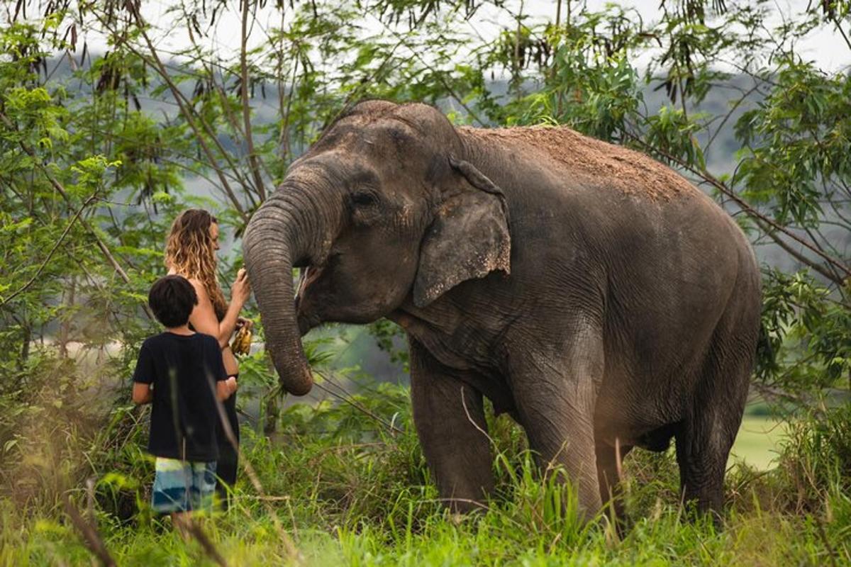 a boy and a girl standing next to an elephant