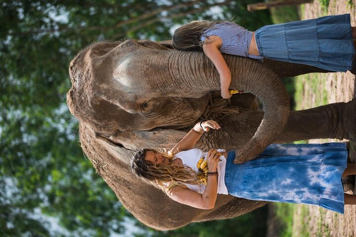 a woman riding on the back of an elephant