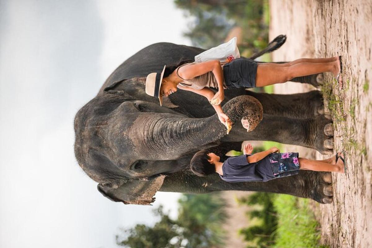 an elephant and a woman standing next to an elephant