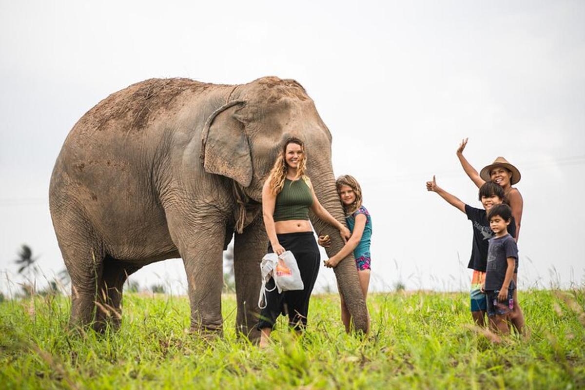 a group of people standing next to an elephant