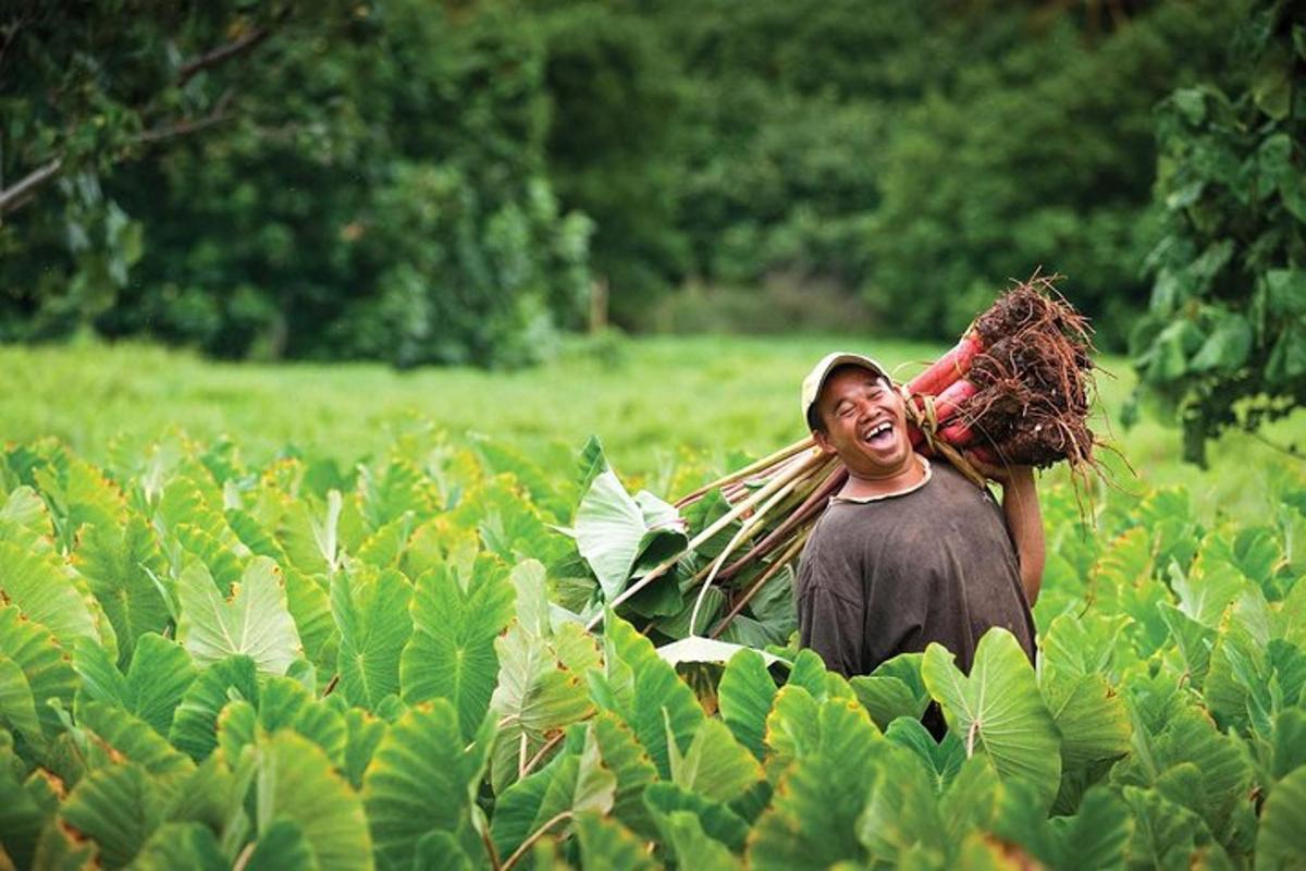 a man is walking through a field of plants