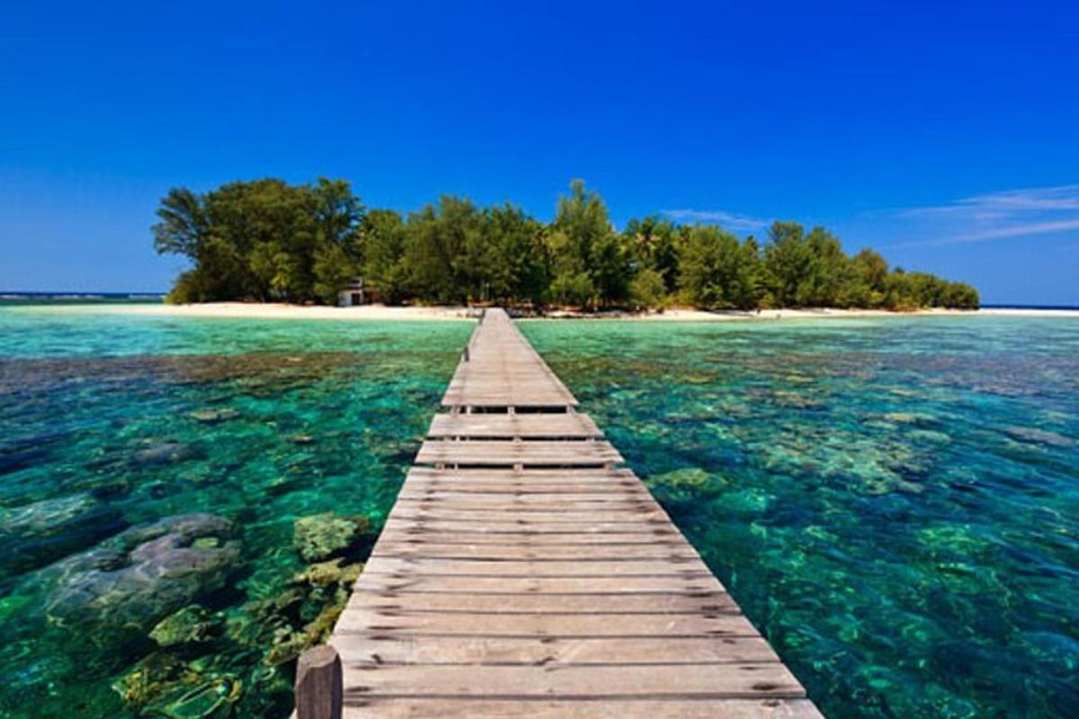 a wooden pier in the water with an island