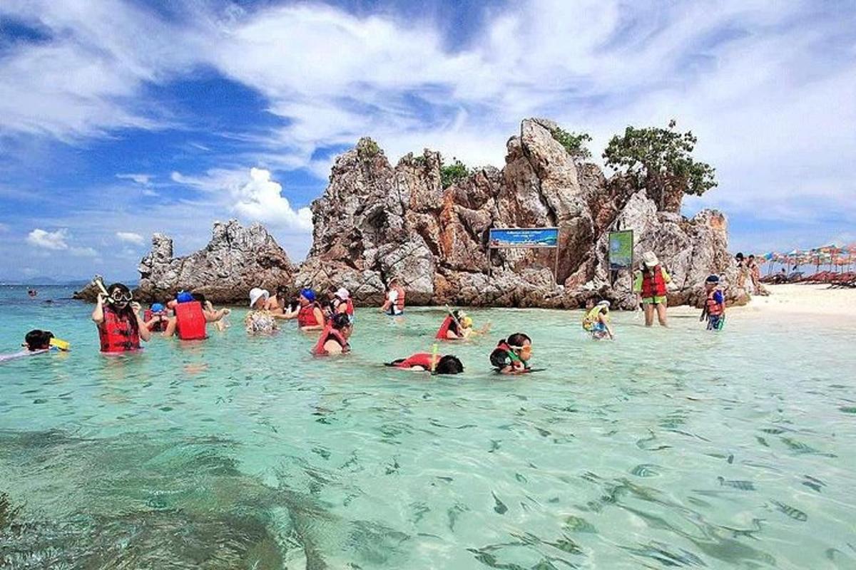 sekelompok orang di air di pantai
