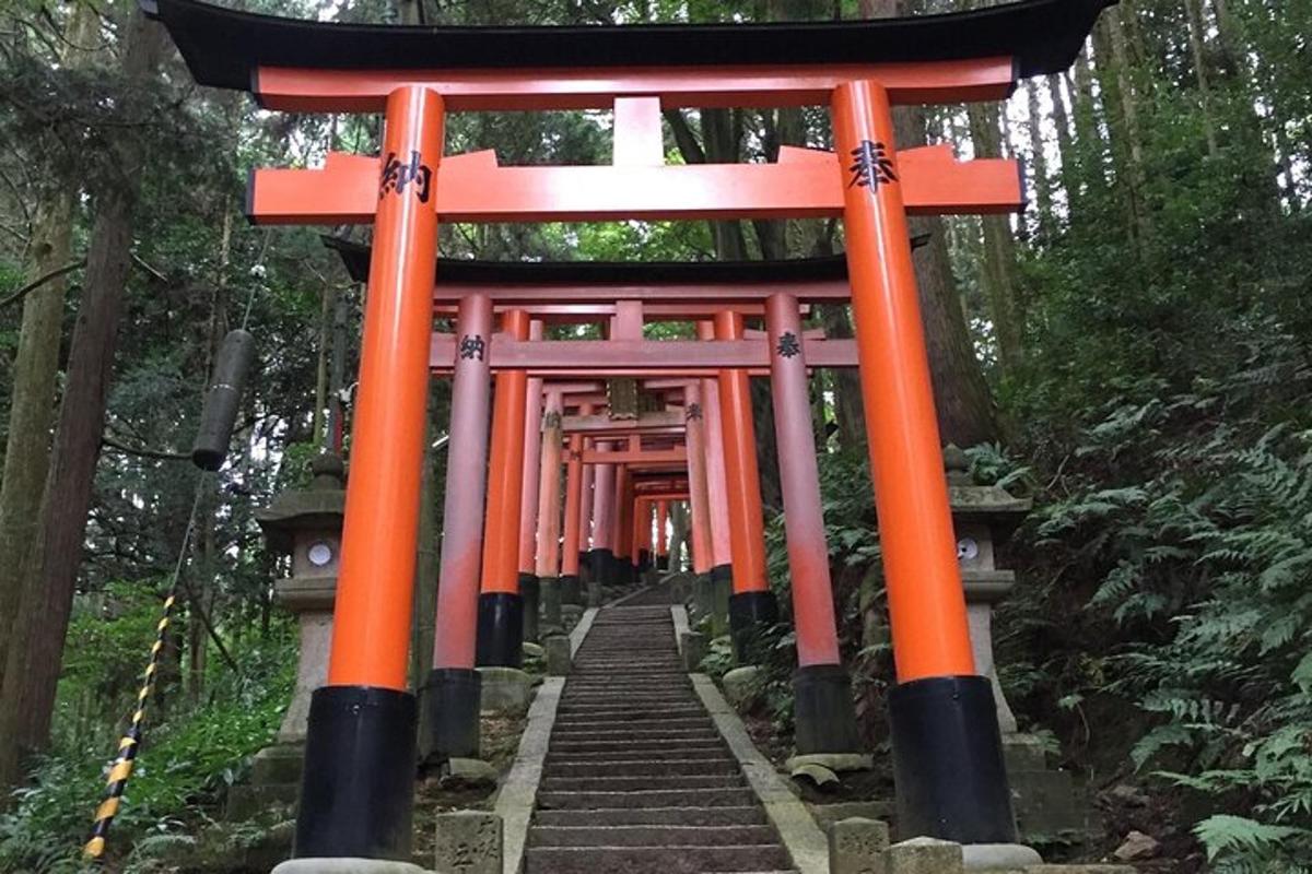 egy narancssárga torii kapu egy erdőben lépcsőkkel