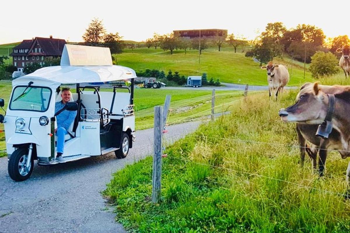 en mann som kjører en golfbil på en vei med kyr