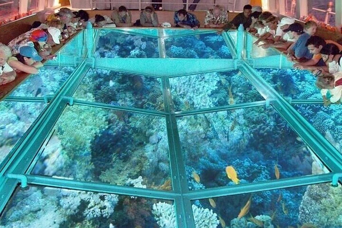 un gruppo di bambini che guardano un acquario con i pesci
