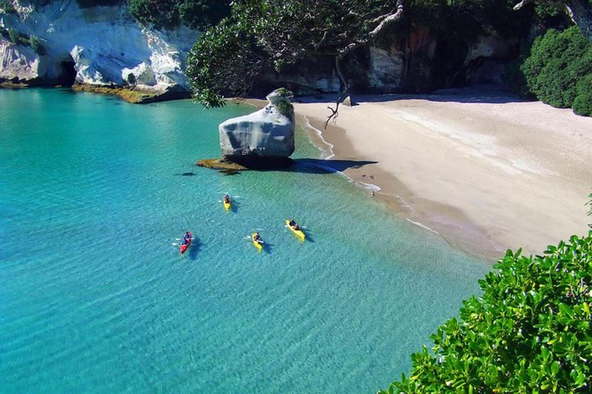 a group of people in the water on a beach