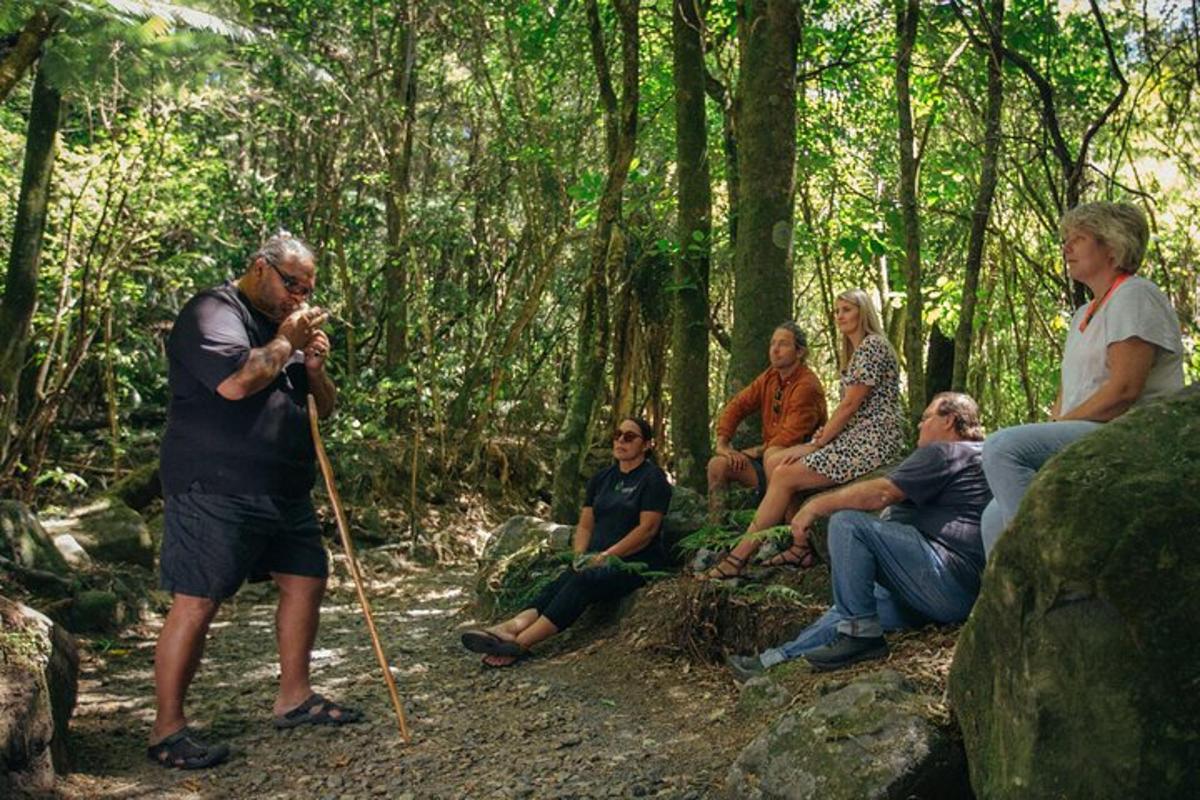 a group of people sitting on rocks in a forest