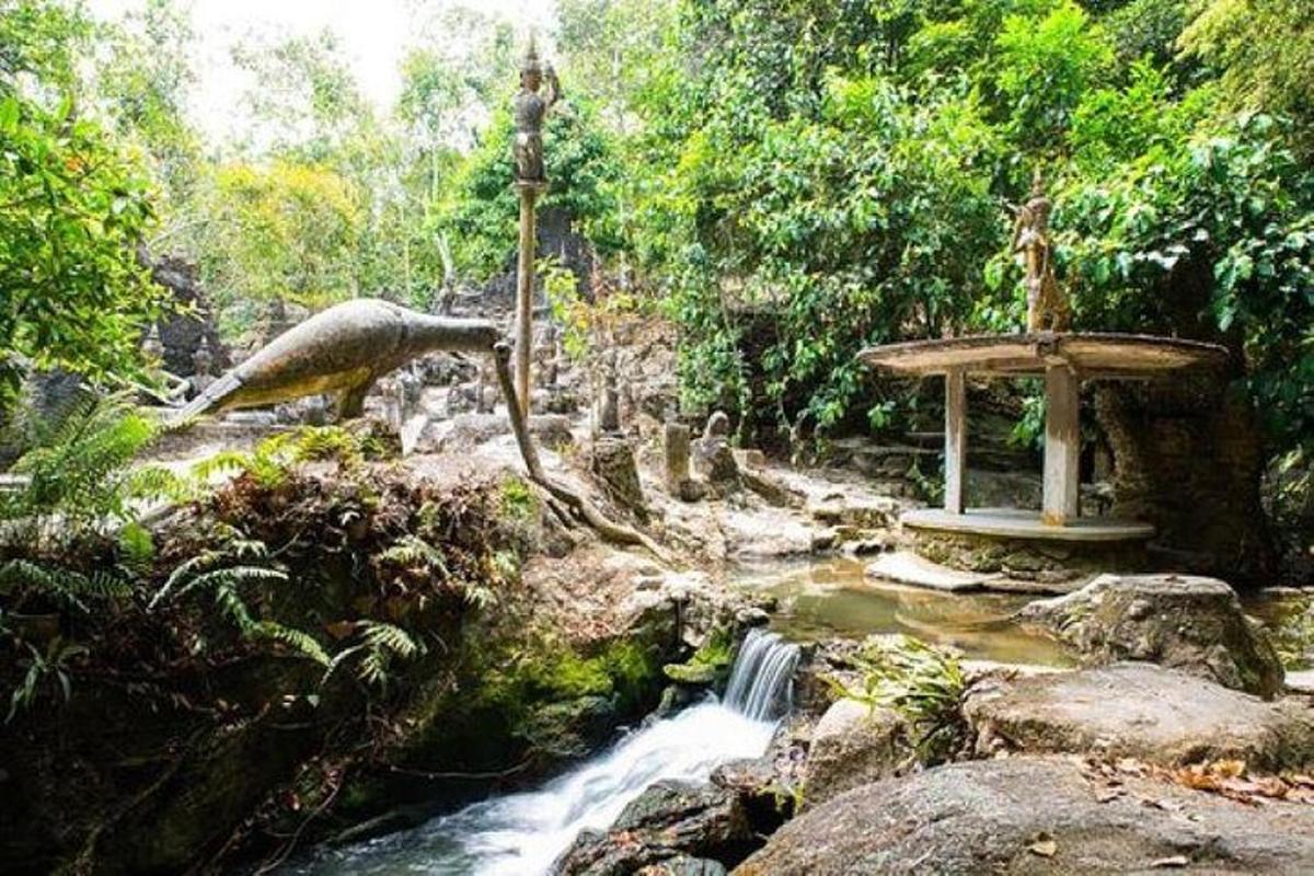 a stream in a forest with a waterfall