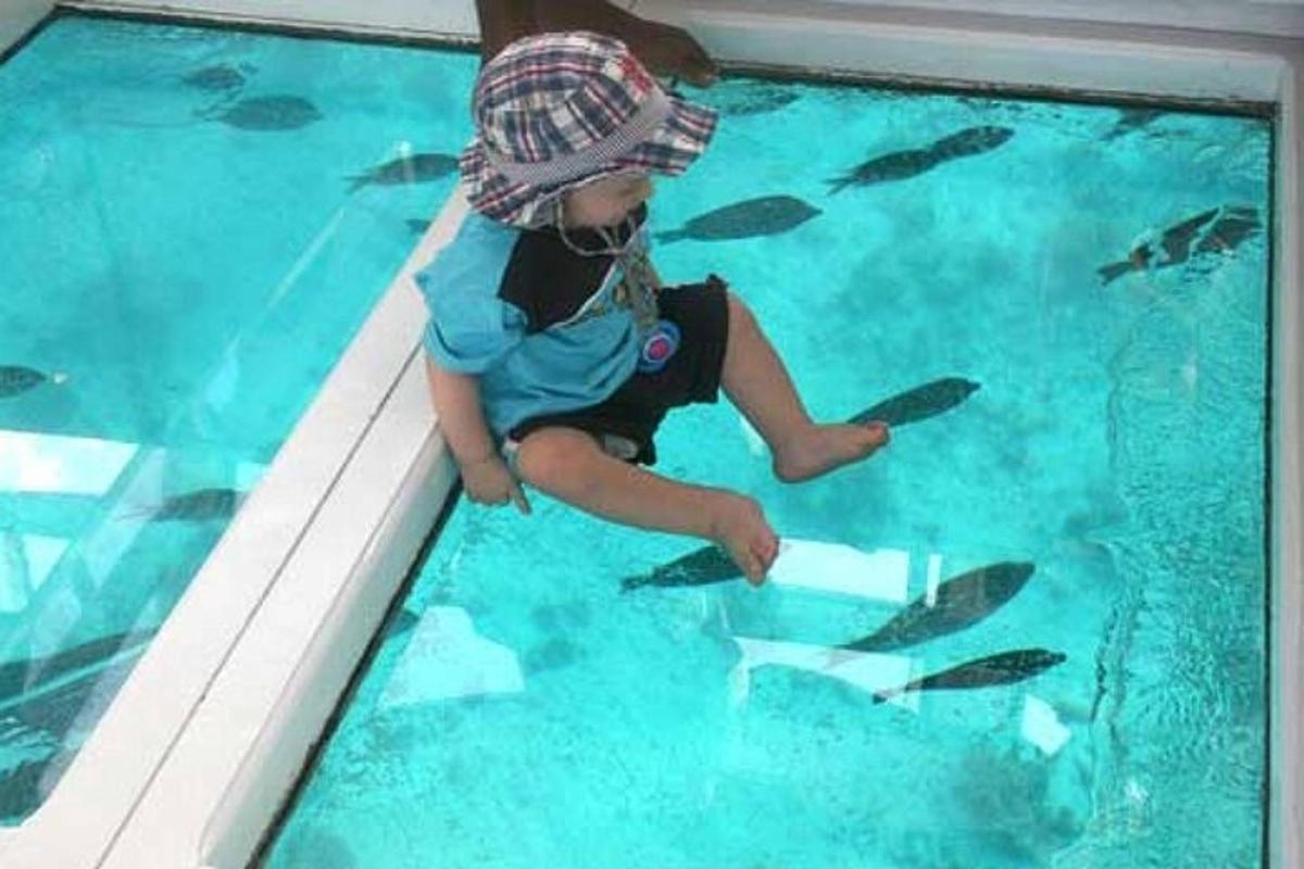 水族館で魚を眺める小さな女の子