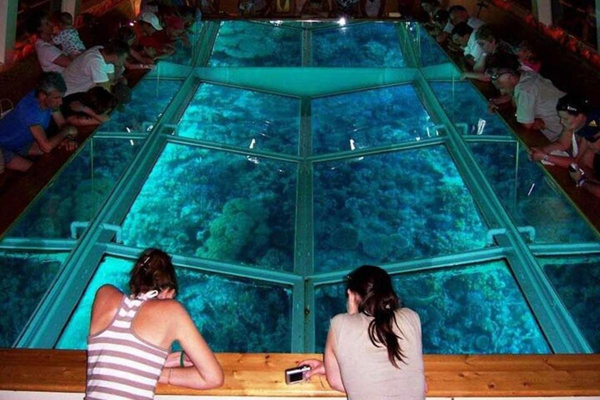 Dos mujeres sentadas en un banco mirando un acuario