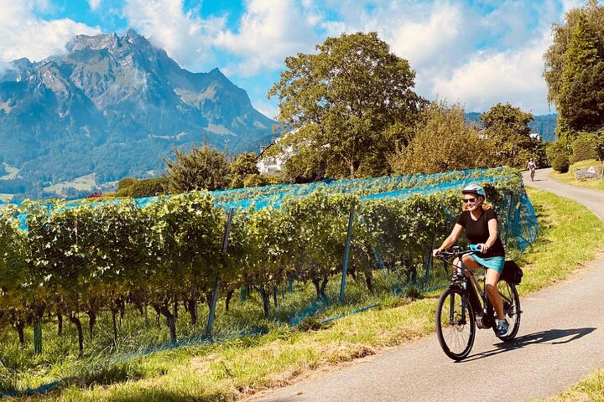a woman riding a bike down a road next to a vineyard