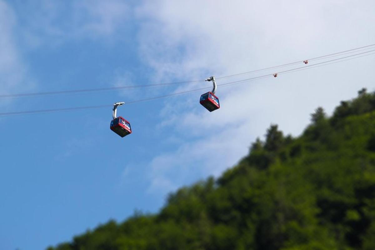 due impianti di risalita su un cavo con alberi sullo sfondo