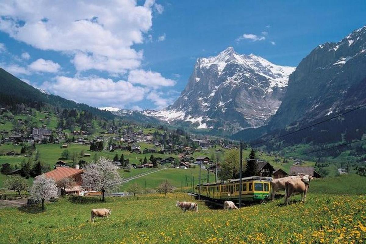 un treno giallo in un campo con una montagna