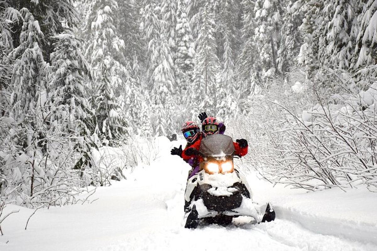 Δύο άτομα που οδηγούν ένα snowmobile στο χιόνι