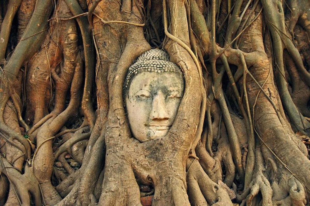 una statua inghiottita dalle radici dell'albero