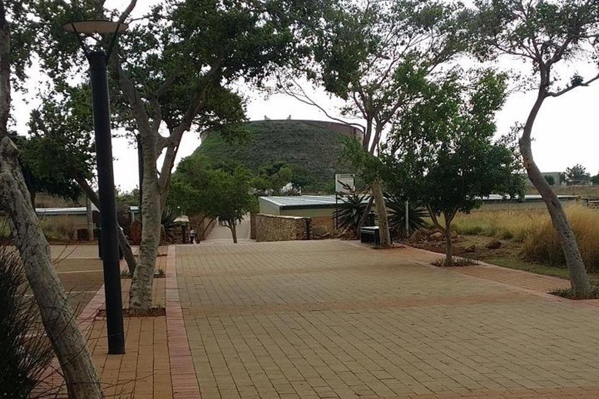 a brick walkway with trees and a light pole