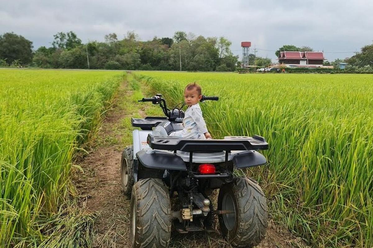 a young child riding a quad bike in a field