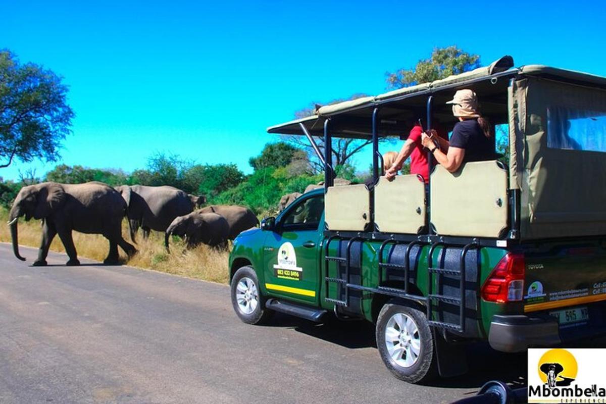 a green jeep driving down a road with a herd of elephants