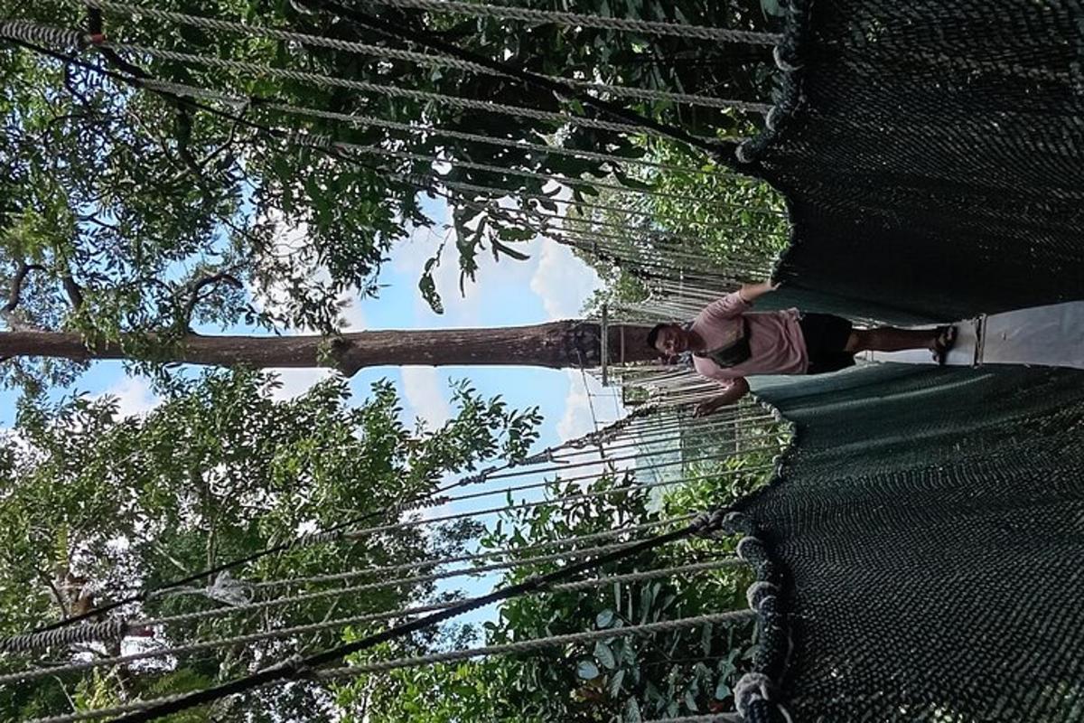 osoba stojící na vrcholu stromu