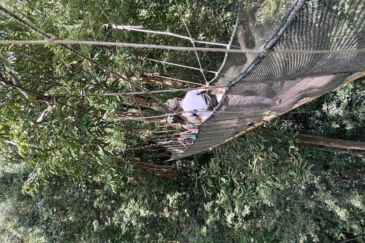 поглед одозго на особу која лежи на дрвету