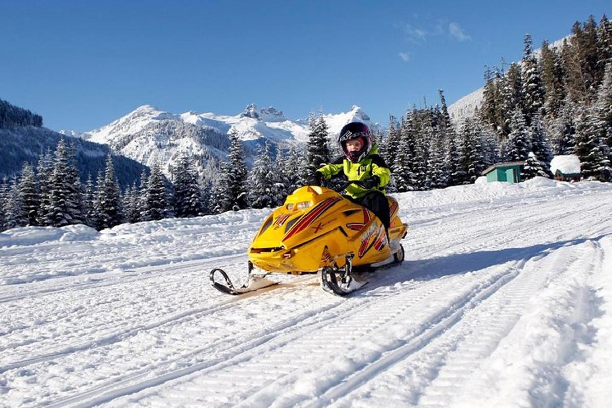 ένα άτομο που κάθεται σε ένα snowmobile στο χιόνι