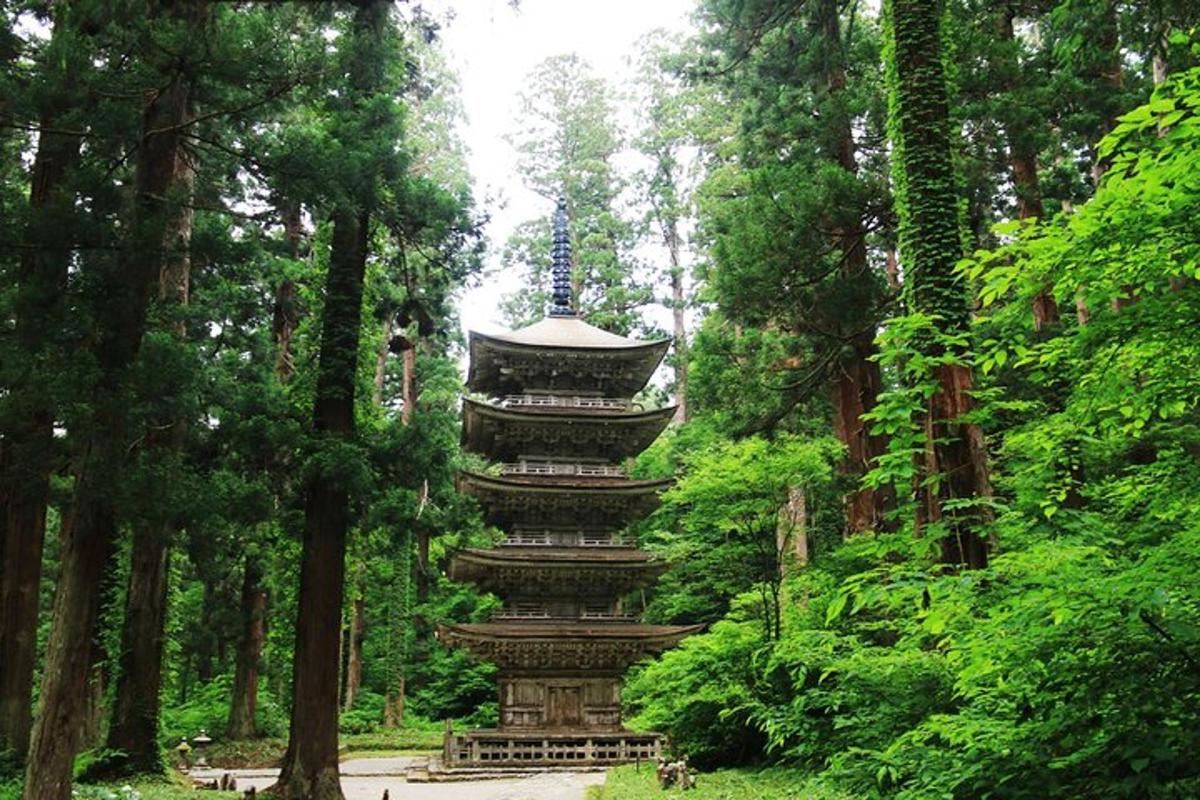 una pagoda in mezzo a una foresta di alberi