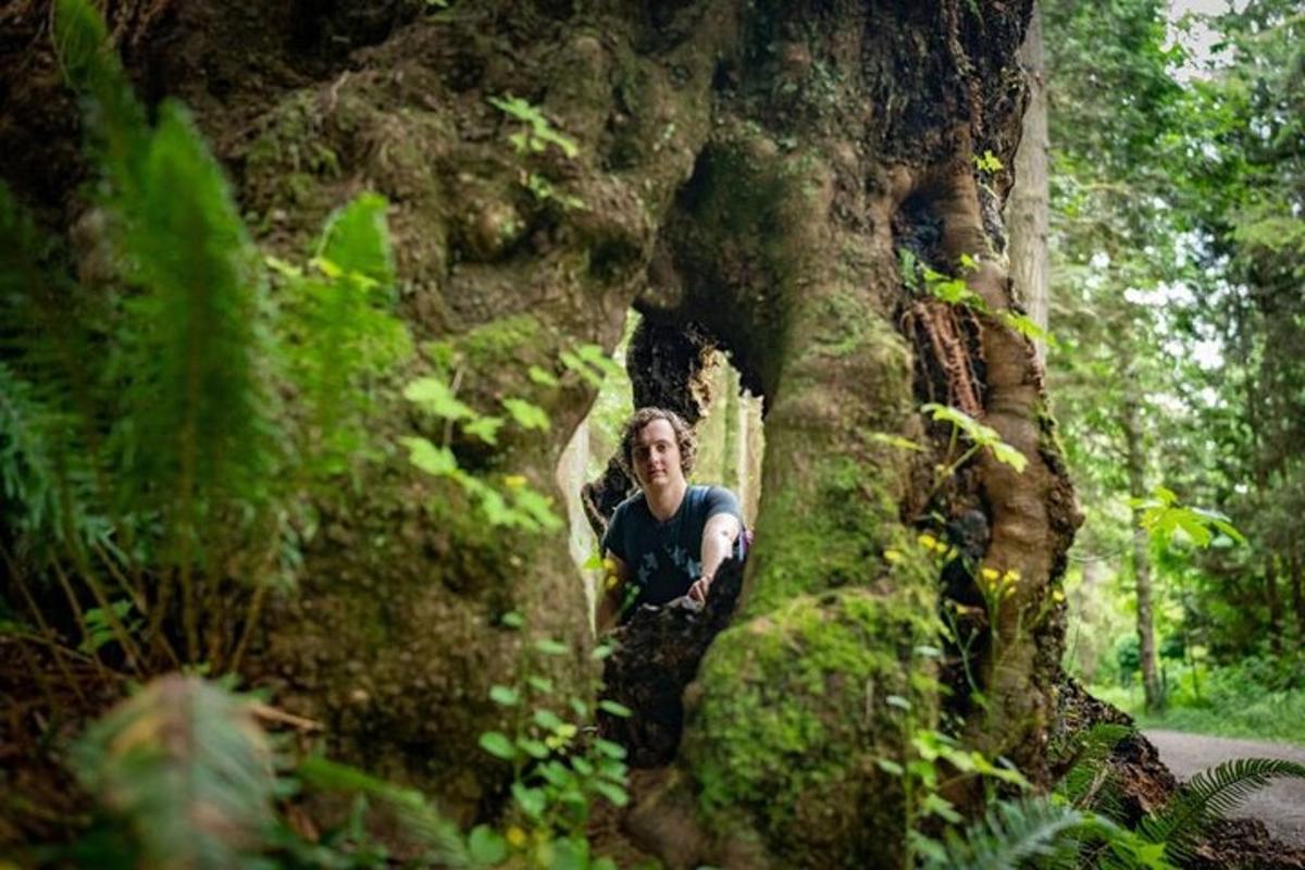 una donna in piedi accanto a un albero in una foresta