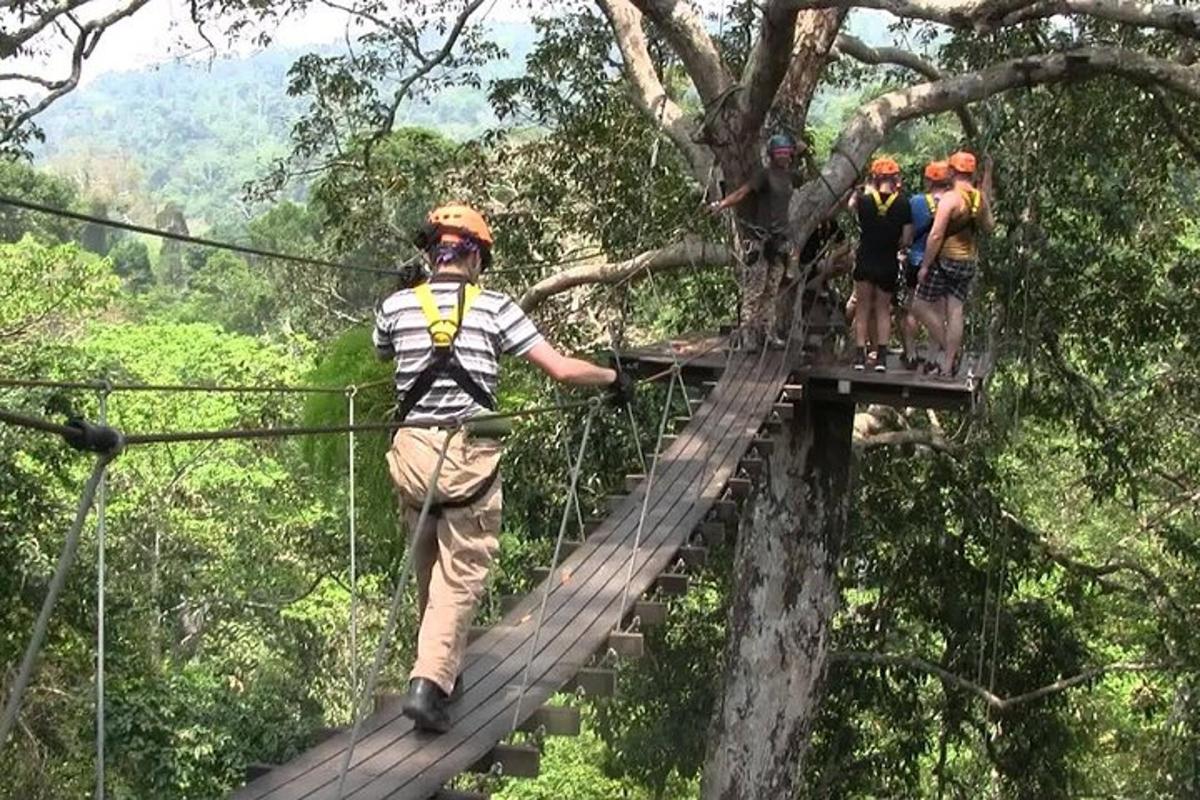 un gruppo di persone su un ponte sospeso nella foresta
