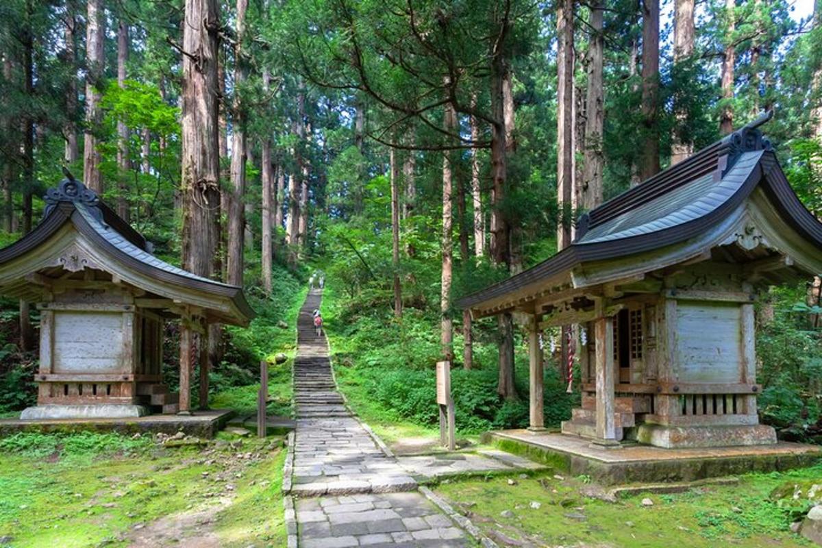 un parco con due piccoli edifici in una foresta