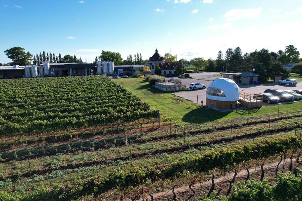 a farm with a greenhouse and a field of crops