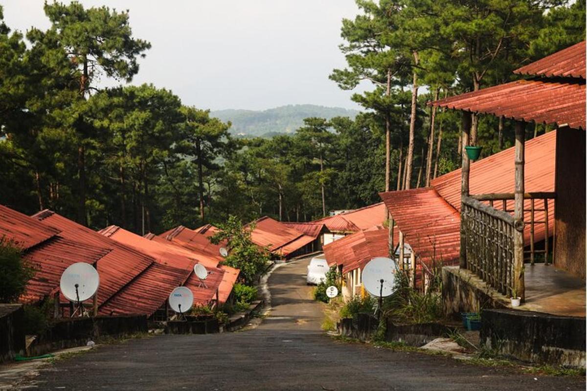 Un grupo de casas con techos rojos y una carretera