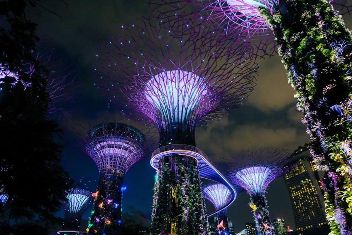 a group of trees lit up at night