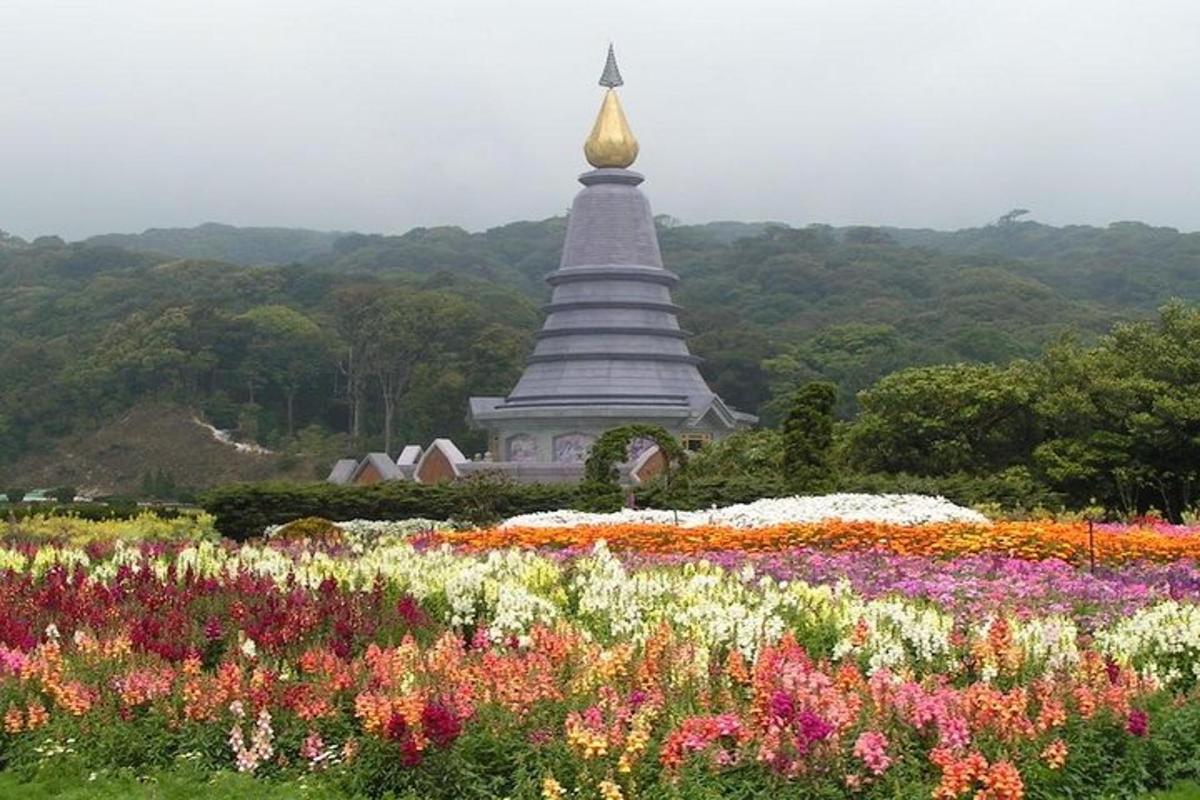 ladang bunga di hadapan pagoda