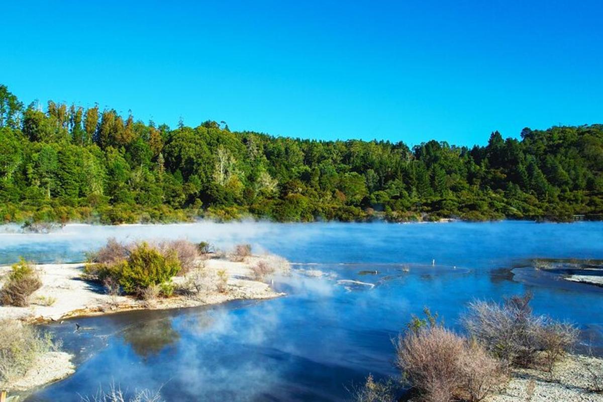 a large body of water with trees in the background