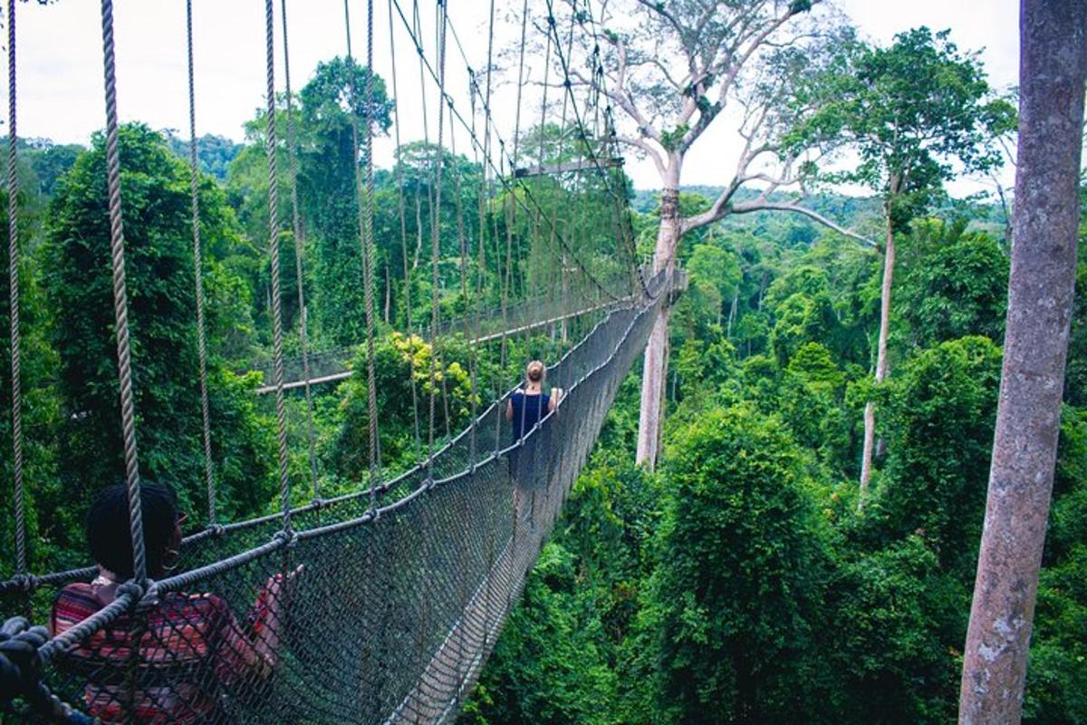 a group of people on a suspension bridge in the jungle