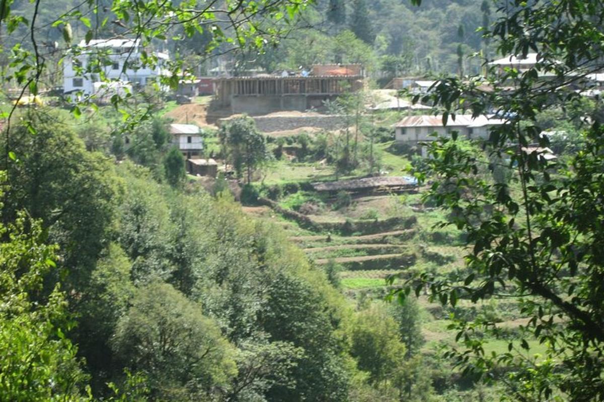 a view of a hillside with houses and trees