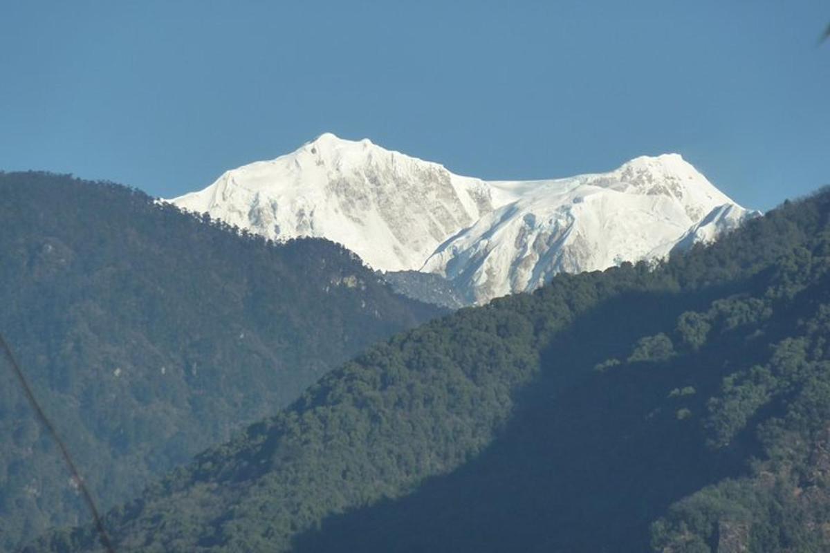 a snow covered mountain with trees in front of it