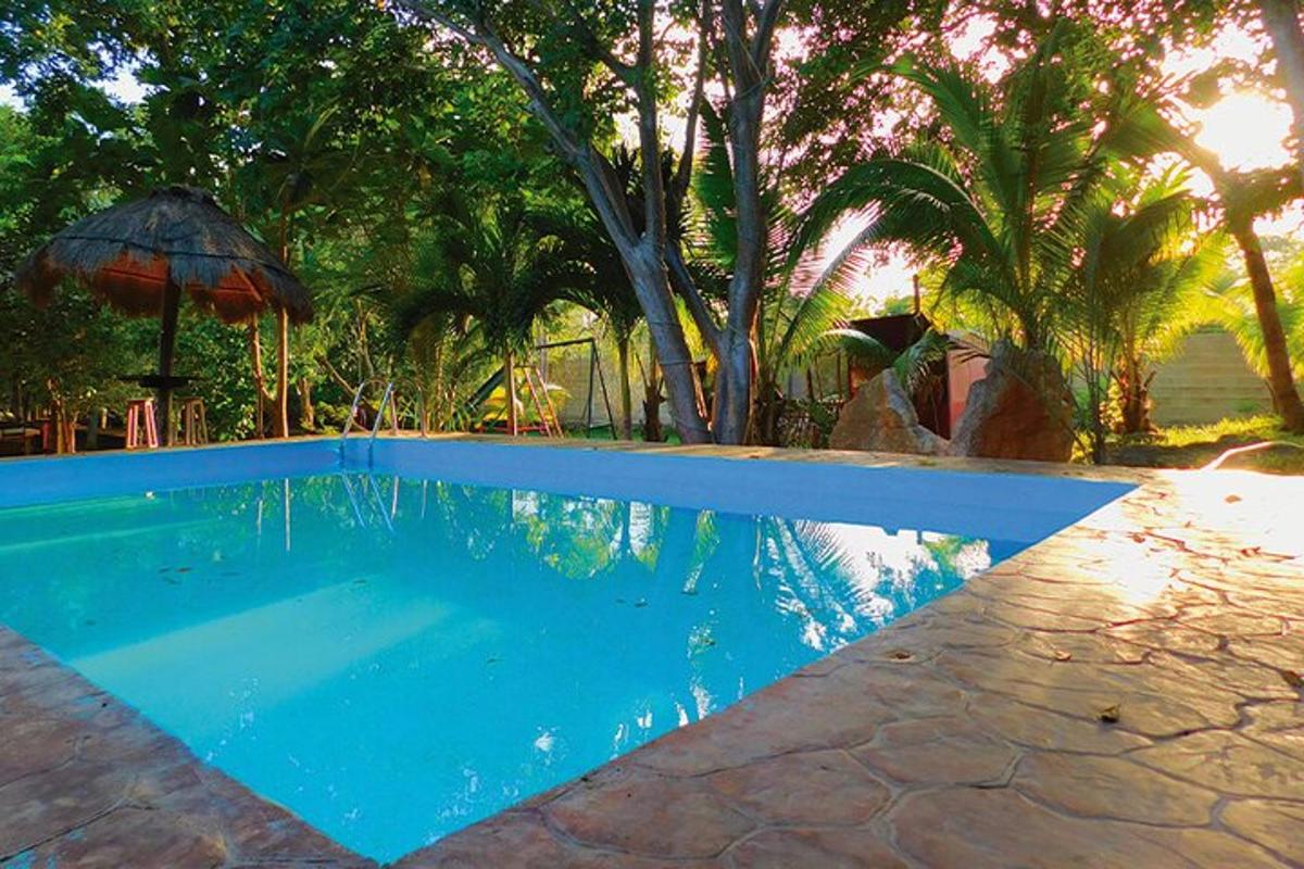 uma piscina azul com guarda-sol e árvores