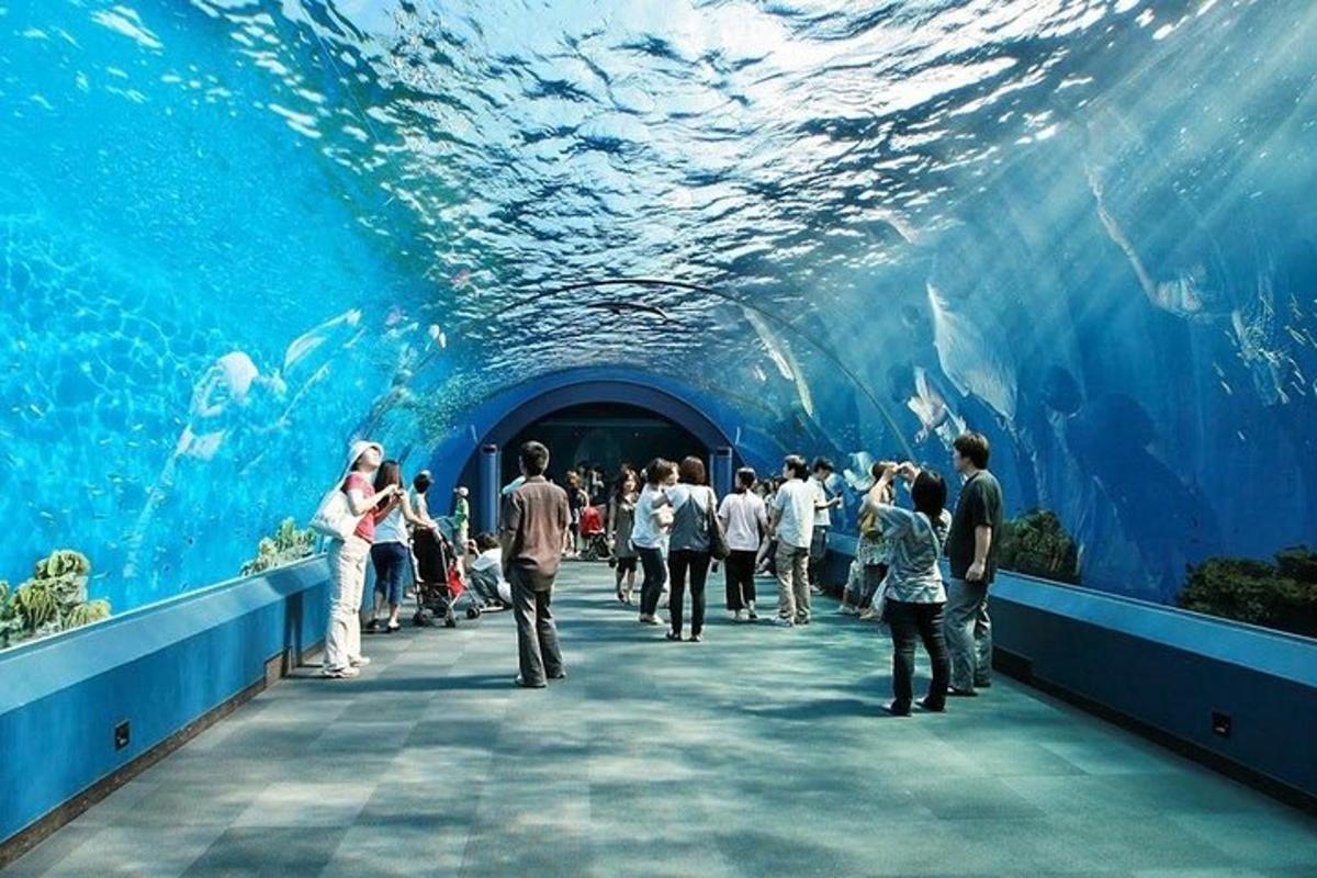 ภาพถ่ายสิ่งที่น่าสนใจภาพที่ 1