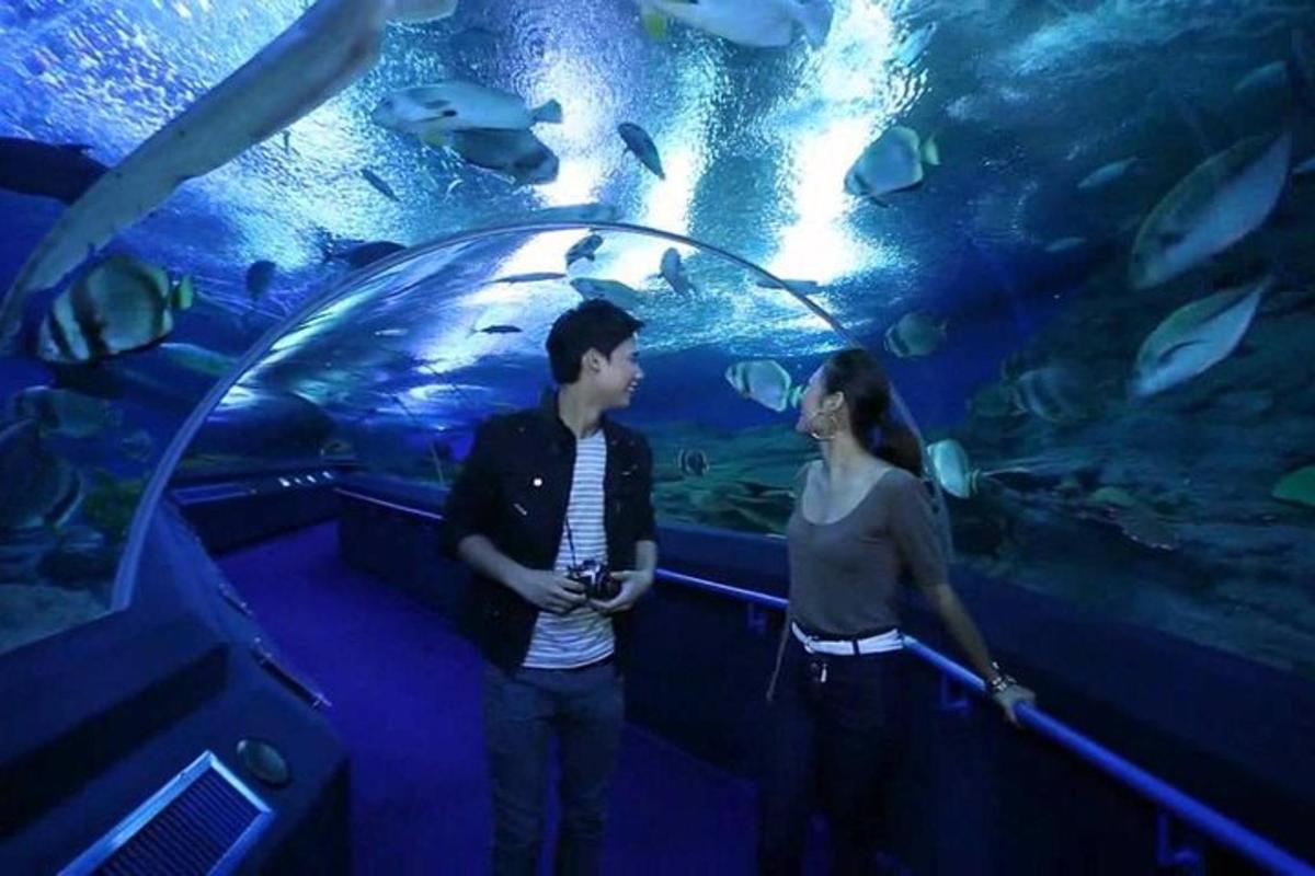 a man and a woman standing in front of an aquarium