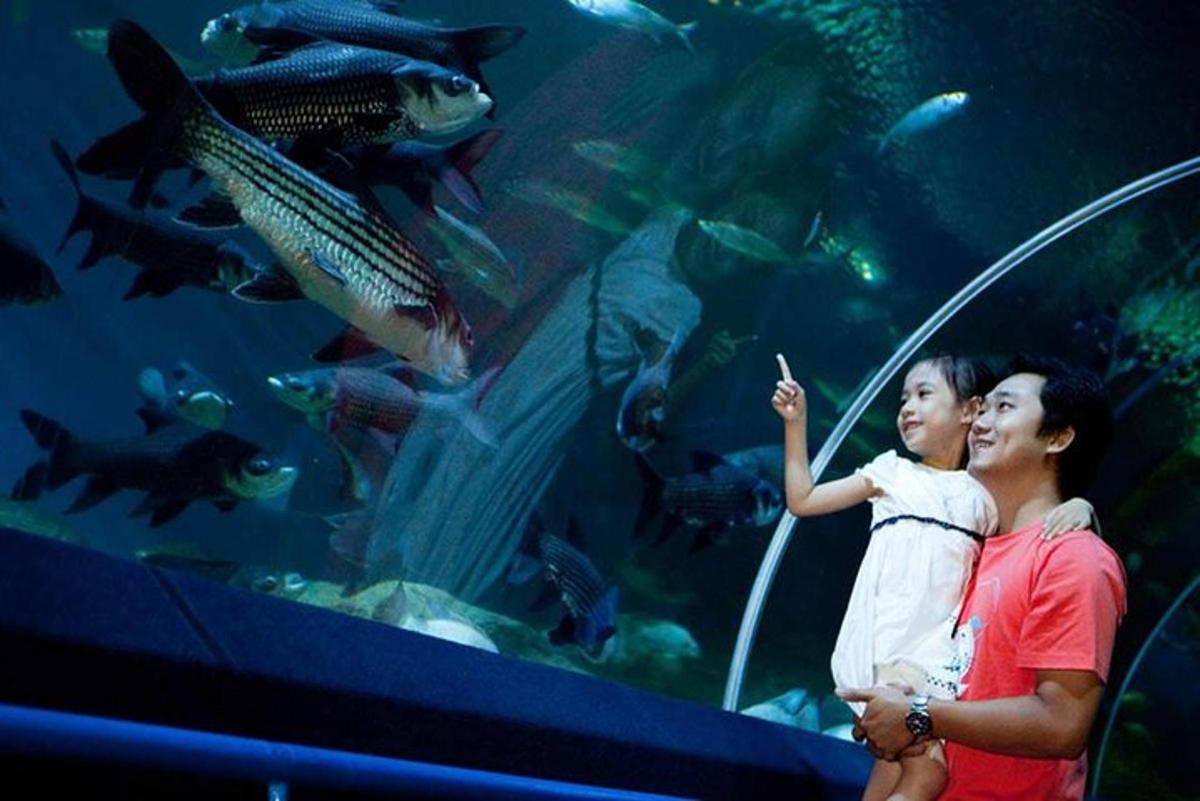 ภาพถ่ายสิ่งที่น่าสนใจภาพที่ 4