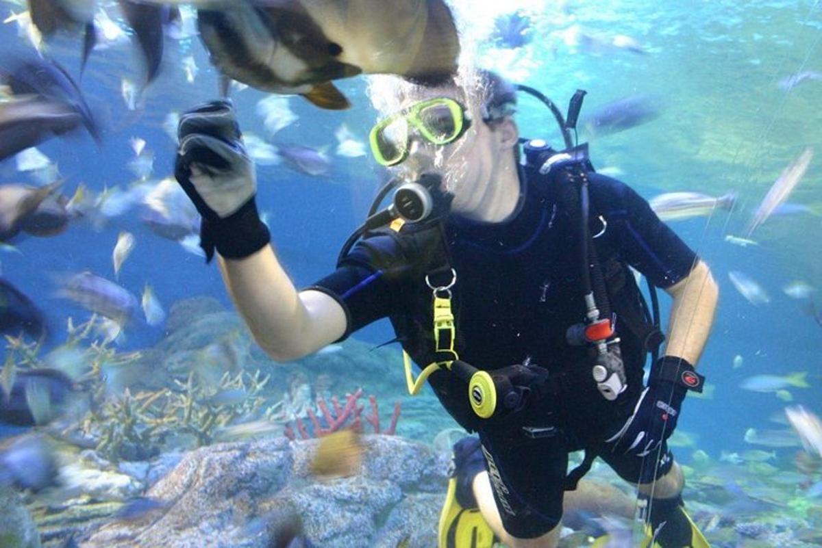 a man in an aquarium with a camera